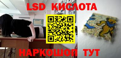 стаф Кингисепп