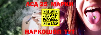 прущие грибы Комсомольск-на-Амуре