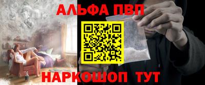 стаф Кингисепп