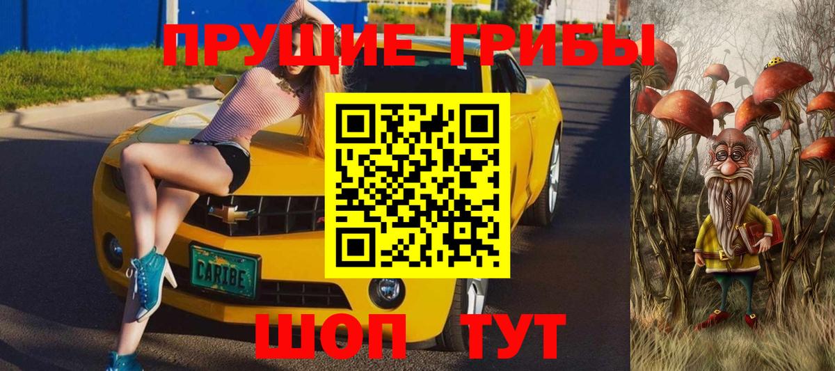 Псилоцибиновые грибы GOLDEN TEACHER Лесосибирск