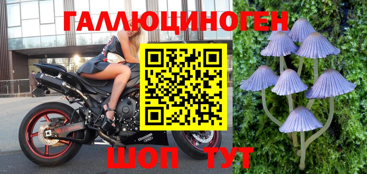Лесосибирск  Псилоцибиновые грибы MAGIC MUSHROOMS  Вход с VPN  купить   Псилоцибиновые грибы мицелий 